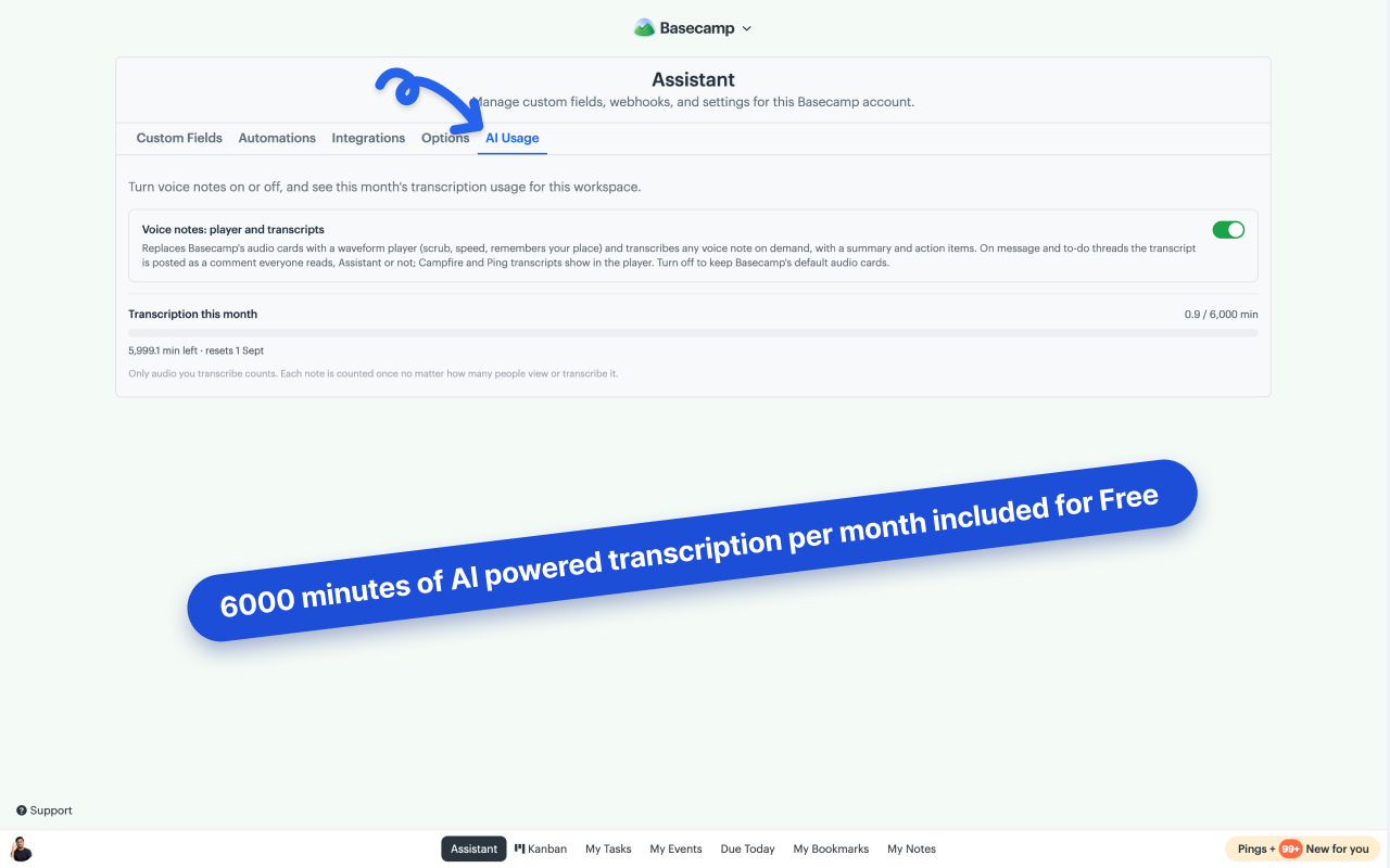Assistant's AI Usage tab with the voice-notes player-and-transcripts toggle switched on and a "Transcription this month" meter reading 0.9 of 6,000 minutes